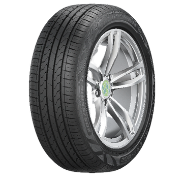 CHENGSHAN SPORTCAT CSC-802