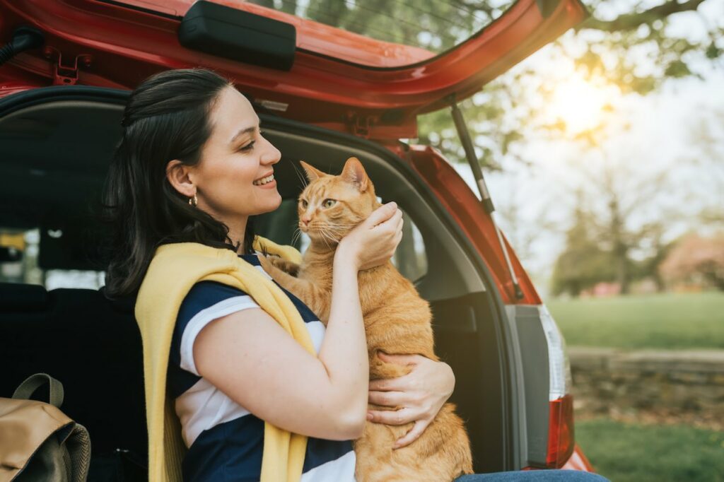 Voyager avec un chat en voiture : comment faire ?
