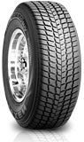 ROADSTONE WINGUARD SUV
