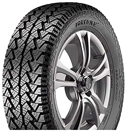 FORTUNE FSR302