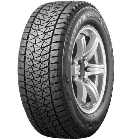 BRIDGESTONE DM-V2
