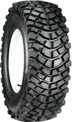 INSA ECO SAHARA S/B
