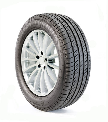 INSA ECO ECOEVOLUTION PLUS