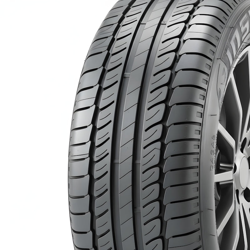 INSA ECO ECOEVOLUTION PLUS