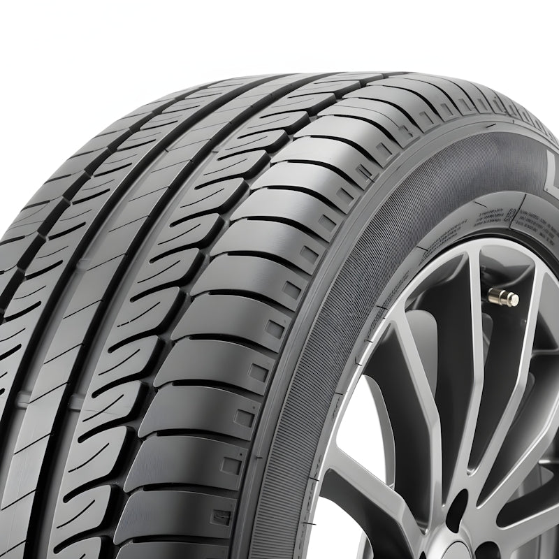 INSA ECO ECOEVOLUTION PLUS