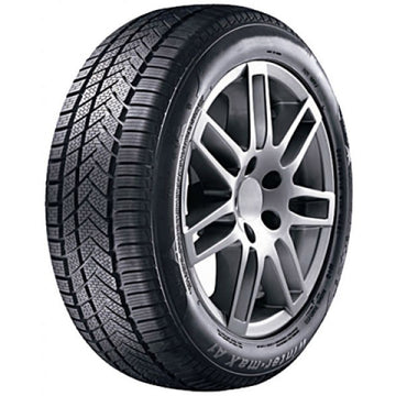 pneus-211792235-55x19-sunny-nw211-105v-xl